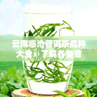 云南临沧普洱茶品种大全：了解各类普洱茶的特点与功效