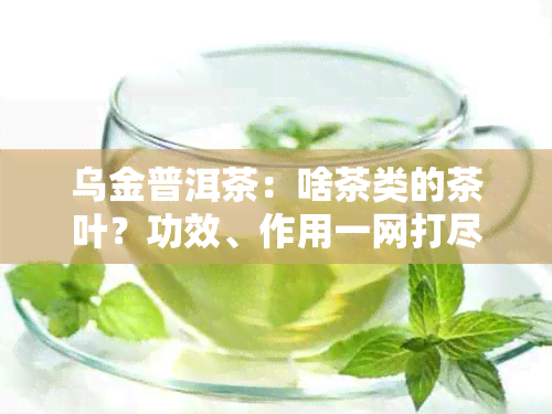 乌金普洱茶：啥茶类的茶叶？功效、作用一网打尽！