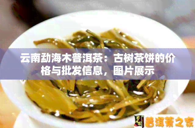 云南勐海木普洱茶：古树茶饼的价格与批发信息，图片展示