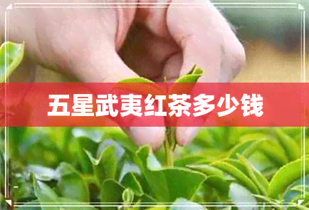 五星武夷红茶多少钱