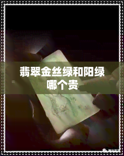 翡翠金丝绿和阳绿哪个贵