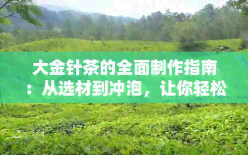 大金针茶的全面制作指南：从选材到冲泡，让你轻松掌握茶艺技巧