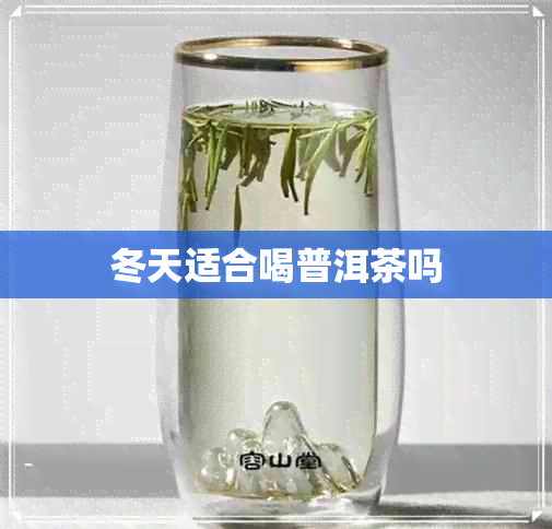 冬天适合喝普洱茶吗