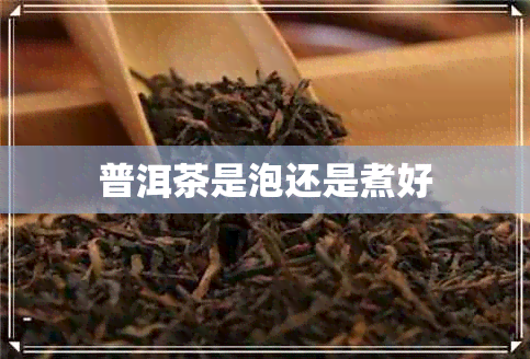 普洱茶是泡还是煮好