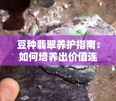 豆种翡翠养护指南：如何培养出价值连城的翠绿色宝石？