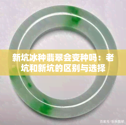 新坑冰种翡翠会变种吗：老坑和新坑的区别与选择