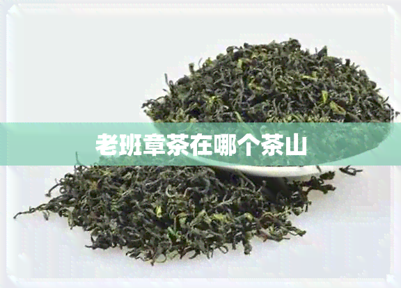 老班章茶在哪个茶山