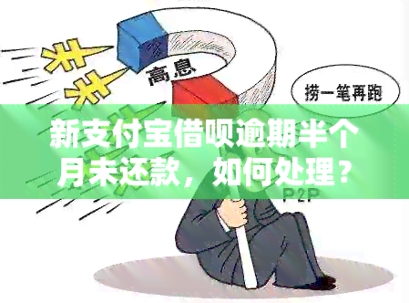 新支付宝借呗逾期半个月未还款，如何处理？