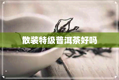 散装特级普洱茶好吗