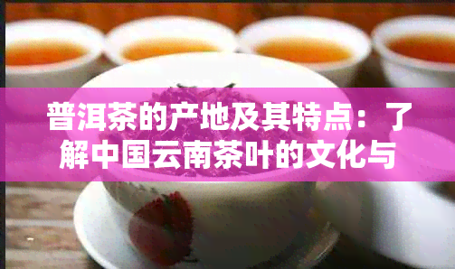 普洱茶的产地及其特点：了解中国云南茶叶的文化与历