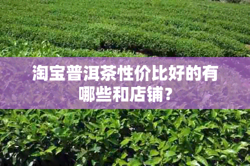 淘宝普洱茶性价比好的有哪些和店铺？