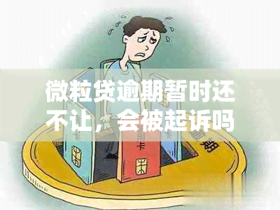 微粒贷逾期暂时还不让，会被起诉吗？怎么办？