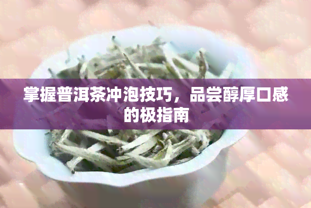 掌握普洱茶冲泡技巧，品尝醇厚口感的极指南