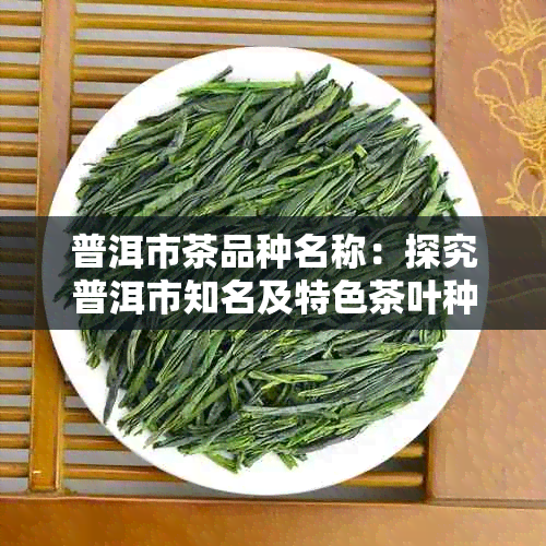 普洱市茶品种名称：探究普洱市知名及特色茶叶种类