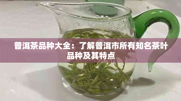 普洱茶品种大全：了解普洱市所有知名茶叶品种及其特点