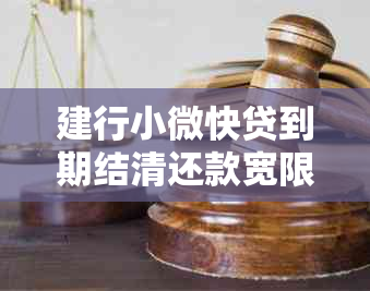 建行小微快贷到期结清还款宽限期问题解决方法