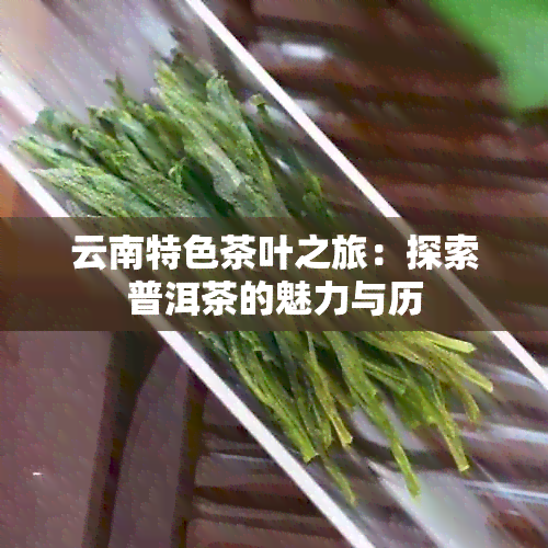 云南特色茶叶之旅：探索普洱茶的魅力与历