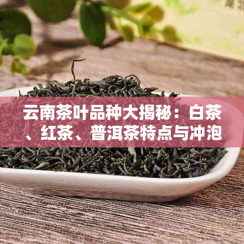 云南茶叶品种大揭秘：白茶、红茶、普洱茶特点与冲泡方法一网打尽！