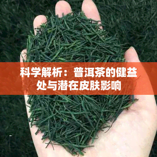 科学解析：普洱茶的健益处与潜在皮肤影响