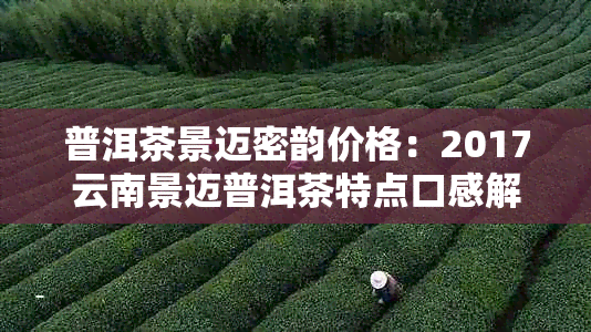 普洱茶景迈密韵价格：2017云南景迈普洱茶特点口感解析