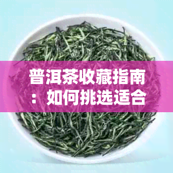 普洱茶收藏指南：如何挑选适合长期存的茶叶和种类