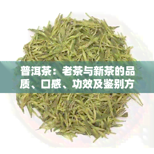 普洱茶：老茶与新茶的品质、口感、功效及鉴别方法详解