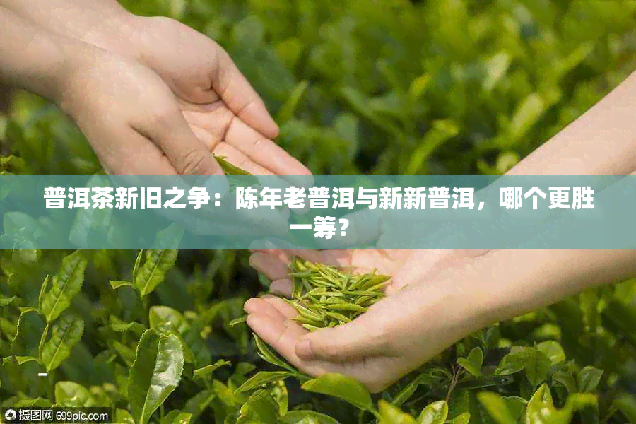 普洱茶新旧之争：陈年老普洱与新新普洱，哪个更胜一筹？