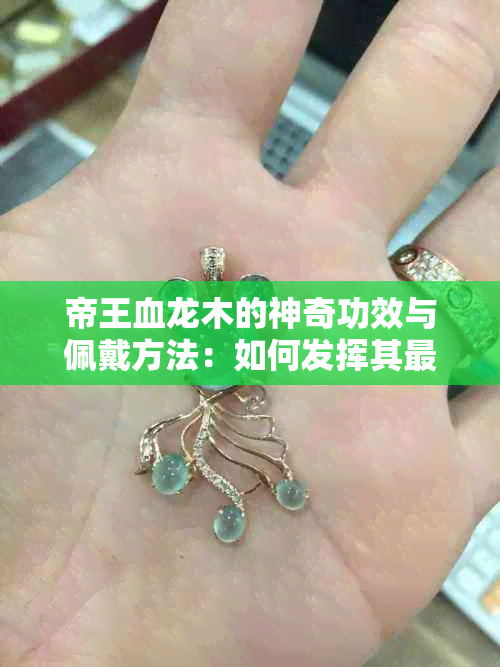 帝王血龙木的神奇功效与佩戴方法：如何发挥其更大价值以改善健康和运势