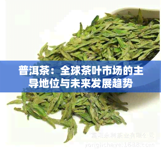 普洱茶：全球茶叶市场的主导地位与未来发展趋势