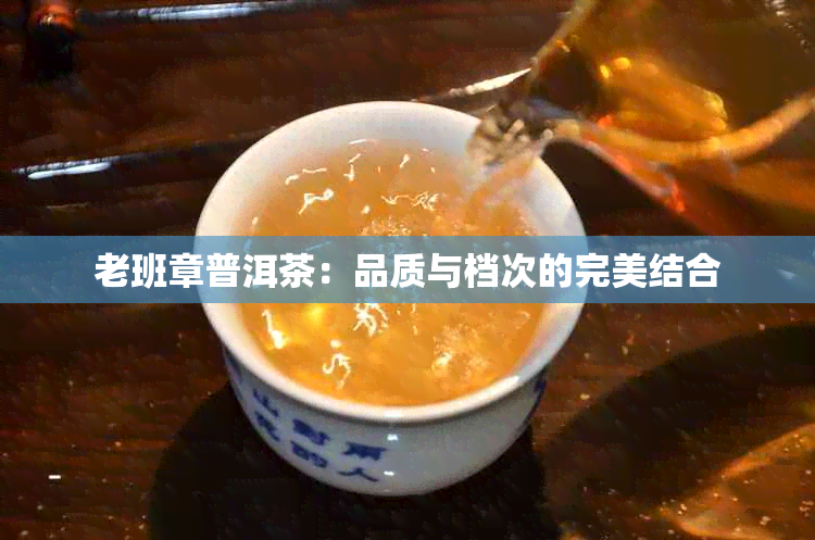 老班章普洱茶：品质与档次的完美结合