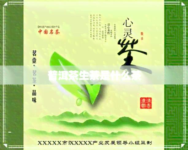 普洱茶生茶是什么茶