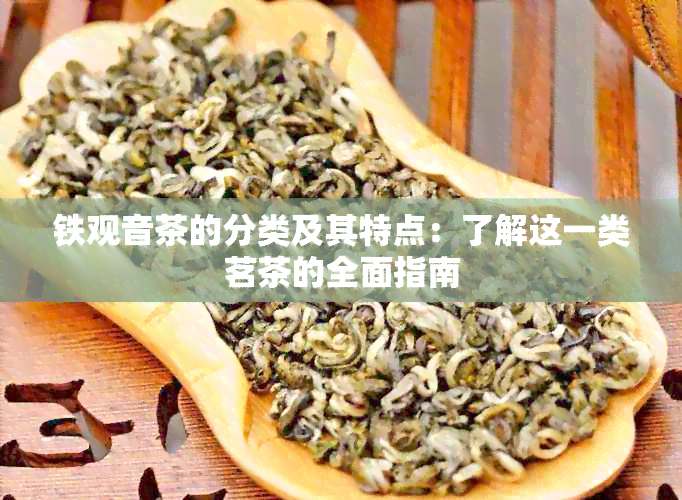 铁观音茶的分类及其特点：了解这一类茗茶的全面指南