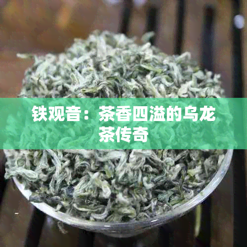 铁观音：茶香四溢的乌龙茶传奇