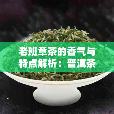 老班章茶的香气与特点解析：普洱茶中的口感佳品