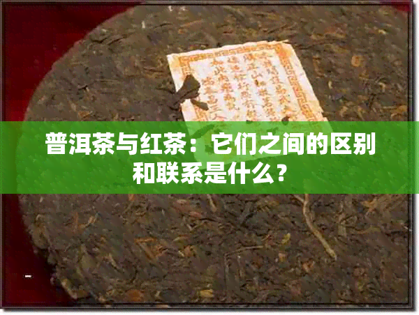 普洱茶与红茶：它们之间的区别和联系是什么？