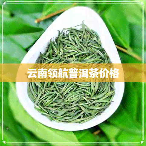 云南领航普洱茶价格