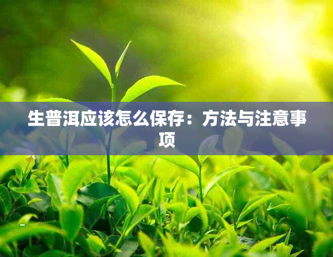 生普洱应该怎么保存：方法与注意事项