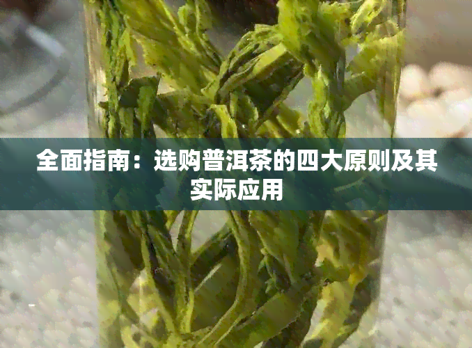 全面指南：选购普洱茶的四大原则及其实际应用