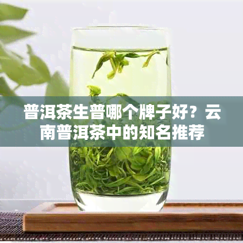 普洱茶生普哪个牌子好？云南普洱茶中的知名推荐