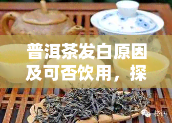 普洱茶发白原因及可否饮用，探讨普洱茶发白现象