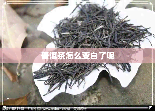 普洱茶怎么变白了呢