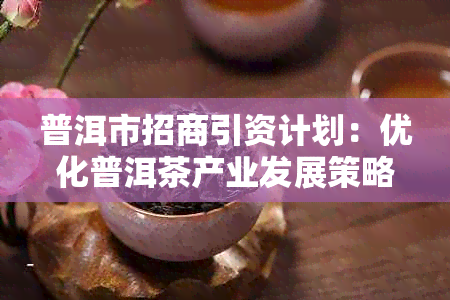 普洱市招商引资计划：优化普洱茶产业发展策略，助力经济增长与区域合作