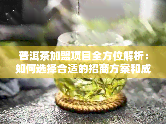 普洱茶加盟项目全方位解析：如何选择合适的招商方案和成功案例分享