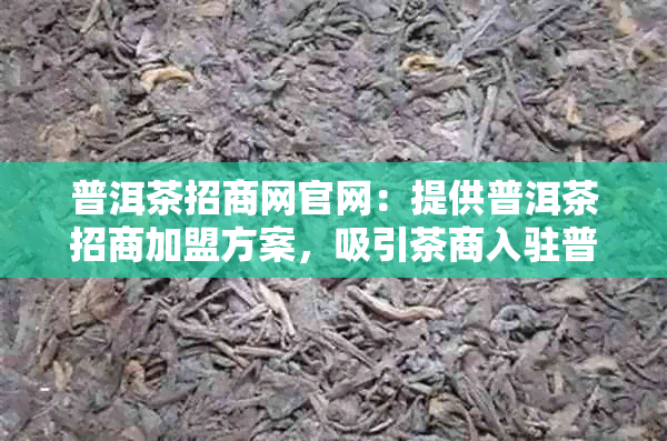 普洱茶招商网官网：提供普洱茶招商加盟方案，吸引茶商入驻普洱茶商城。