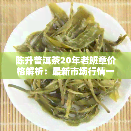 陈升普洱茶20年老班章价格解析：最新市场行情一目了然