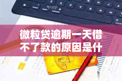 微粒贷逾期一天借不了款的原因是什么？