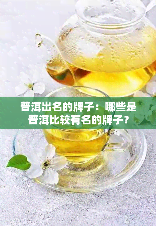 普洱出名的牌子：哪些是普洱比较有名的牌子？