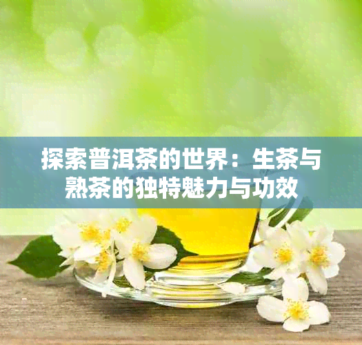 探索普洱茶的世界：生茶与熟茶的独特魅力与功效