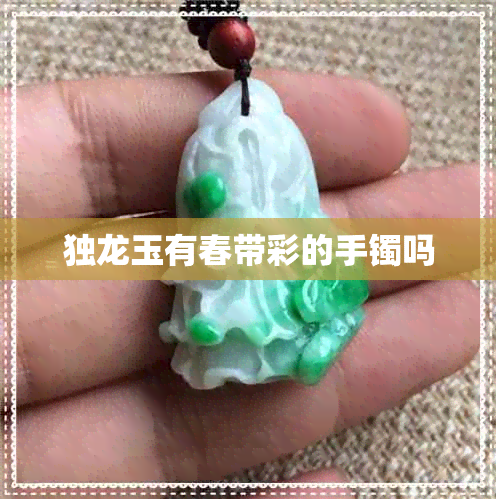 独龙玉有春带彩的手镯吗