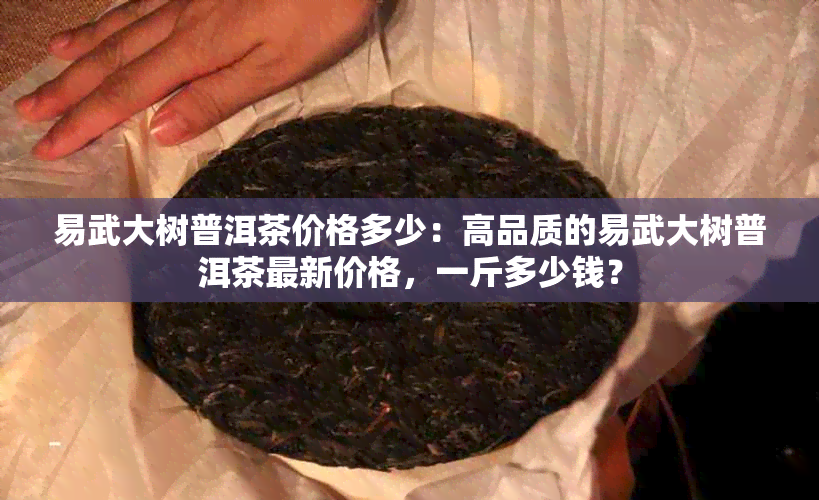 易武大树普洱茶价格多少：高品质的易武大树普洱茶最新价格，一斤多少钱？